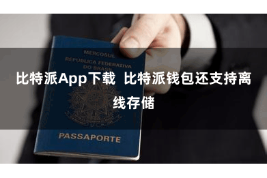 比特派App下载 比特派钱包还支持离线存储
