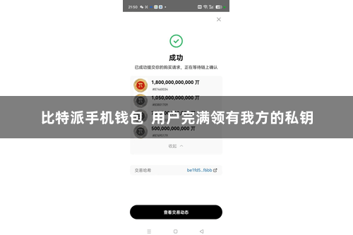 比特派手机钱包  用户完满领有我方的私钥