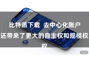 比特派下载  去中心化账户还带来了更大的自主权和规模权