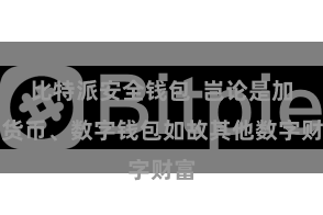 比特派安全钱包  岂论是加密货币、数字钱包如故其他数字财富