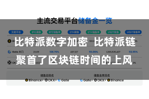 比特派数字加密  比特派链聚首了区块链时间的上风