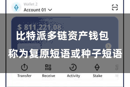 比特派多链资产钱包  称为复原短语或种子短语