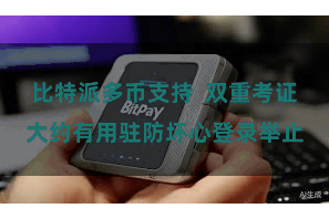 比特派多币支持  双重考证大约有用驻防坏心登录举止